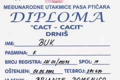 buk-certificato001