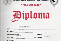 rubriante-der-cac-cacit-2007-1