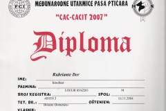 rubriante-der-cac-cacit-2007-2